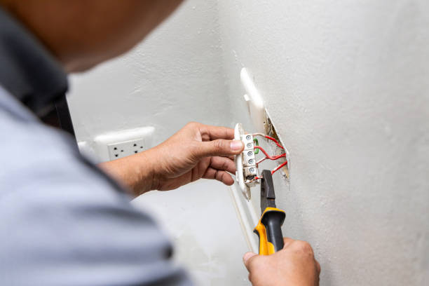 Best Electrician for Home Renovation  in Carpendale, WV